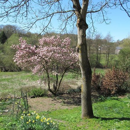 Les Chevrefeuilles Villa Walcourt Ruang foto